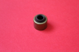 5010284733 Сальник клапана RVI Magnum AE (LENO)