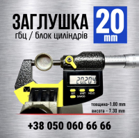 20 мм Заглушка головки блоку гбц блоку циліндрів s=1.8 (LENO)